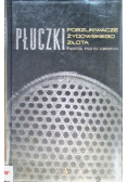 Płuczki W poszukiwaniu żydowskiego złota