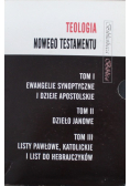 Teologia Nowego Testamentu Tom I - III