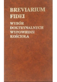 Breviarium fidei Wybór doktrynalnych wypowiedzi kościoła