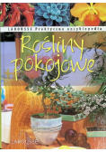 Rośliny pokojowe