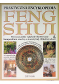 Praktyczna encyklopedia Feng Shui