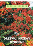 Drzewa i krzewy ozdobne