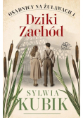 Dziki Zachód