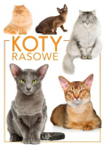 Koty rasowe