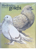 Hodowla gołębi