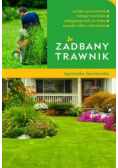 Zadbany trawnik