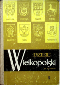 Dzieje Wielkopolski w wypisach