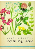 Rośliny łąk