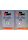 Inny słownik języka polskiego