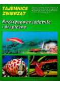 Tajemnice zwierząt  Bezkręgowce jadowite i drapieżne