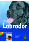 Labrador Poradnik opiekuna
