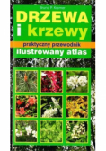 Drzewa i krzewy