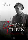 Czarny Tulipan