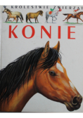 W królestwie zwierząt Konie