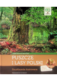 Puszcze i lasy Polski