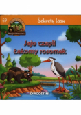 Sekrety lasu Jajo czapli Łakomy rosomak