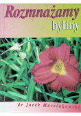 Rozmnażamy byliny