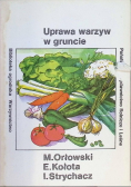 Uprawa warzyw w gruncie