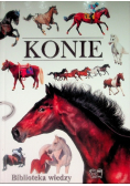Konie