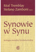 Synowie w Synu