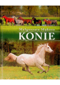 Konie