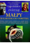 Małpy od karzełka do olbrzyma