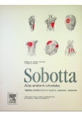 Atlas anatomii człowieka Sobotta