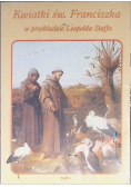 kwiatki św. Franciszka z Asyżu