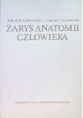 Zarys anatomii człowieka