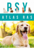 Psy Atlas ras