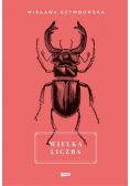 Wielka liczba