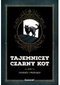 Tajemniczy czarny kot