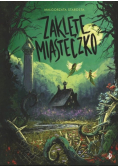 Zaklęte Miasteczko. Godzina czarów. Tom 2