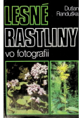 Lesne rastliny vo fotografii