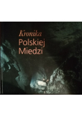 Kronika Polskiej Miedzi