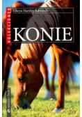 Konie