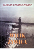 Wicik Żywica