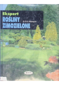 Rośliny zimozielone