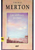 Las wybrzeże pustynia