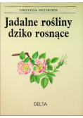 Leksykon przyrody Jadalne rośliny dziko rosnące