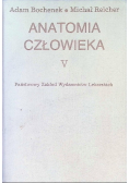 Anatomia człowieka Tom V