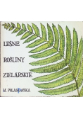 Leśne rośliny zielarskie