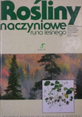 Rośliny naczyniowe runa leśnego