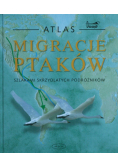 Migracje ptaków