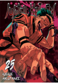Jujutsu Kaisen. Tom 25
