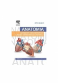 Anatomia narządów wewnętrznych i układu nerwowego człowieka