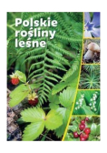 Polskie rośliny leśne