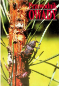 Przewodnik Owady