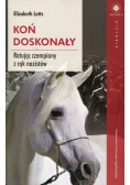Koń doskonały Ratując czempiony z rąk nazistów