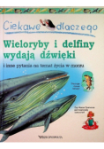 Ciekawe dlaczego wieloryby i delfiny wydają dźwięki i inne pytania na temat życia w morzu
